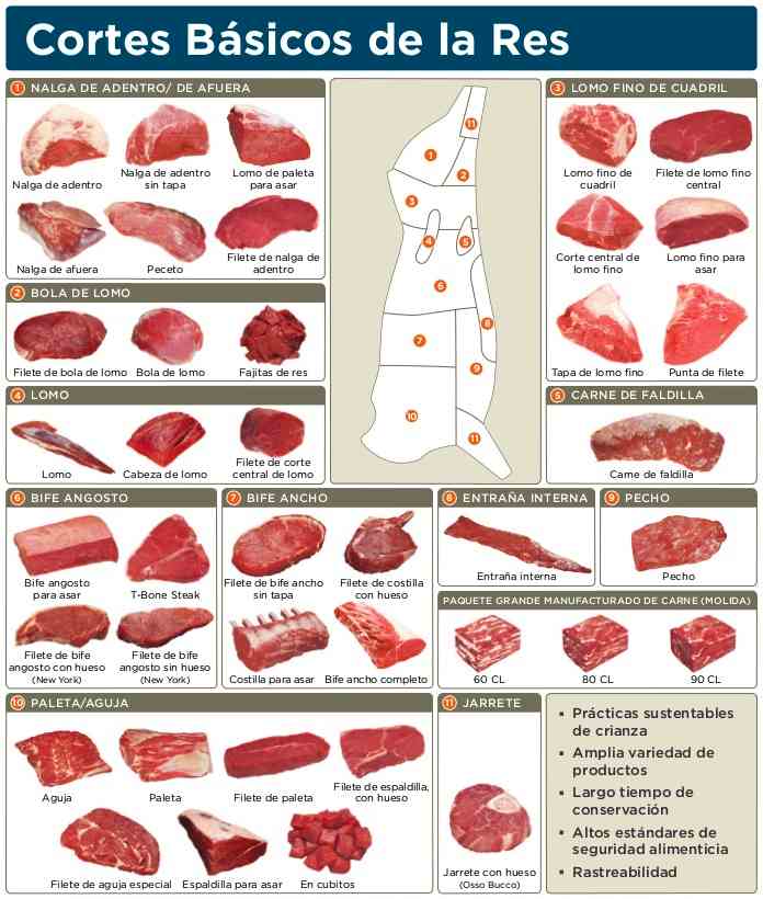 Diferentes Tipos De Cortes De Carne - Noticias De Carne